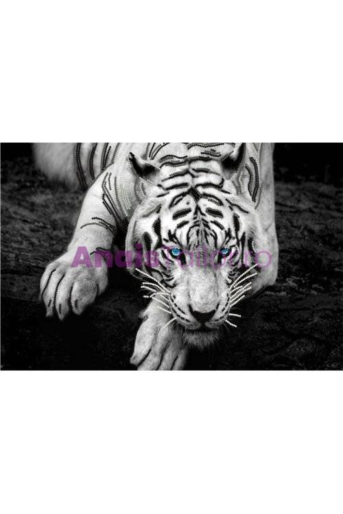 Covor antiderapant Tigru 120 x 180 cm