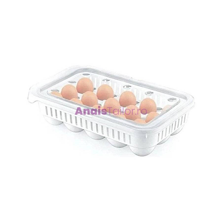  Cutie depozitare 15 oua, cu capac, 28,5 x 18 cm